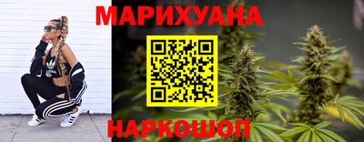 прущие крисы Моздок