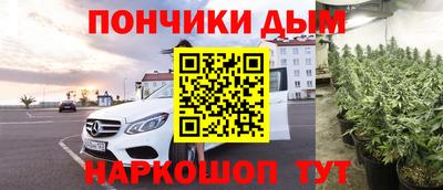 прущие крисы Моздок