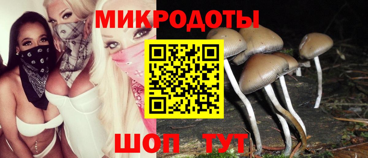 Хабаровск  Галлюциногенные грибы Psilocybe  Вход с VPN 